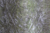 Menston fibreglass roof work